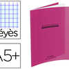 CAHIER PIQUA CONQUARANT CLASSI QUE COUVERTURE POLYPROPYLENE RIGIDE TRANSPARENTE A5+ 17X22CM 48 PAGES 90G SAYES VIOLET