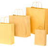 SAC KRAFT VERGA 110/M2 POIGNAE S FICELLE TORSADAE 320X130X400MM COLORIS ACRU SAC KRAFT VERGA 110/M2 POIGNAE S FICELLE TORSADAE 320X130X400MM COLORIS ACRU
