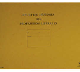 registre-piqua-elve-recettes-d-apenses-professions-libarales-270x370mm-80-pages