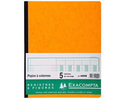 registre-piq-re-exacompta-colo-nnes-250x320mm-31-lignes-5-colonnes-page-80-pages