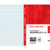 MANIFOLD AUTOCOPIANT LIDERPAPE L 105X140MM QUADRILLA 5X5 50 DUPLIS MANIFOLD AUTOCOPIANT LIDERPAPE L 105X140MM QUADRILLA 5X5 50 DUPLIS