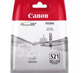 cartouches-jet-d-encre-canon-2937b001-grey