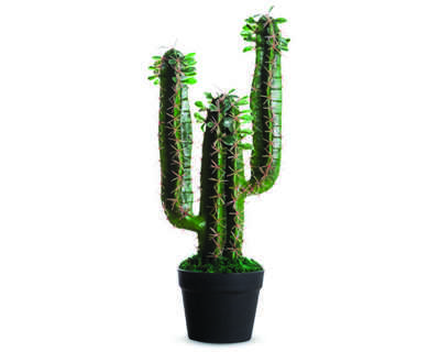 plante-artificielle-paperflow-cactus-hauteur-600mm