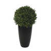 PLANTE BUIS BOULE MAXIFLEUR DELUXE PLASTIQUE QUALITÉ CASI NATURELLE DÉCO INTÉRIEUR EXTÉRIEUR HAUTEUR DIAMÈTRE 50CM VERT PLANTE BUIS BOULE MAXIFLEUR DELUXE PLASTIQUE QUALITÉ CASI NATURELLE DÉCO INTÉRIEUR EXTÉRIEUR HAUTEUR DIAMÈTRE 50CM VERT