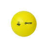 BALLON DE HANDBALL PLASTICO ROTOTECH INITIATION EN PVC TAILLE 00 DIAMÈTRE 145MM 190G BALLON DE HANDBALL PLASTICO ROTOTECH INITIATION EN PVC TAILLE 00 DIAMÈTRE 145MM 190G