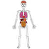 JEU SQUELETTE HENBEA PLASTIQUE ARTICULÉ FLEXIBE LAVABLE 10 ORGANES 2 FICHES POUR ÉCRIRE ET EFFACER 30 ÉTIQUETTES JEU SQUELETTE HENBEA PLASTIQUE ARTICULÉ FLEXIBE LAVABLE 10 ORGANES 2 FICHES POUR ÉCRIRE ET EFFACER 30 ÉTIQUETTES