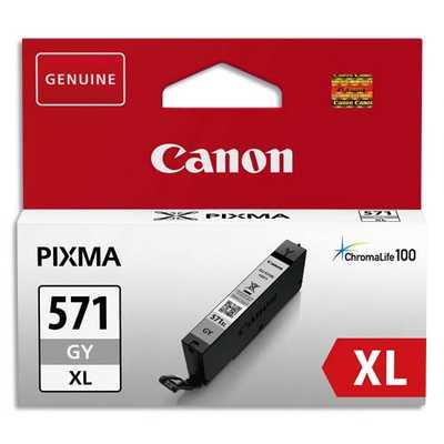 cartouches-jet-d-encre-canon-0335c001-grey