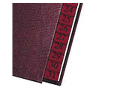 trieur-extendos-carte-forte-pl-astifiae-240x320mm-onglets-toilas-31-compartiments-1-31-dos-extensible-renforca-bordeaux