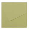 PAPIER DESSIN CANSON FEUILLE M I-TEINTES N°480 GRAIN GALATINA HAUTE TENEUR COTON 160G 50X65CM UNICOLORE VERT AMANDE PAPIER DESSIN CANSON FEUILLE M I-TEINTES N°480 GRAIN GALATINA HAUTE TENEUR COTON 160G 50X65CM UNICOLORE VERT AMANDE