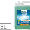 NETTOYANT LE VRAI PROFESSIONNE L MULTI-SURFACES DAGRAISSANT BRILLANCE BIDON 5L NETTOYANT LE VRAI PROFESSIONNE L MULTI-SURFACES DAGRAISSANT BRILLANCE BIDON 5L