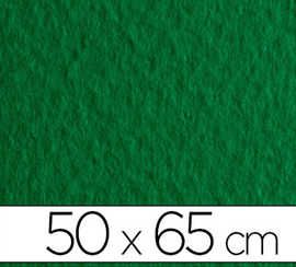 papier-dessin-fabriano-feuille-tiziano-160g-50x65cm-unicolore-vert-billard