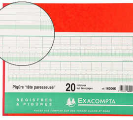 manifold-comptable-exacompta-p-iqua-t-te-paresseuse-270x320mm-horizontal-28-lignes-80-pages-20-colonnes-2-pages