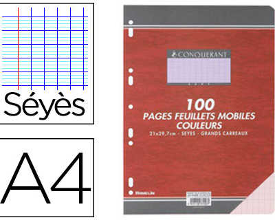 feuillet-mobile-conquarant-sep-t-a4-210x297mm-100-pages-80g-sayes-perfora-coloris-rose