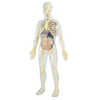 JEU MINILAND ANATOMIE HUMAINE 45 PIÈCES 56CM JEU MINILAND ANATOMIE HUMAINE 45 PIÈCES 56CM