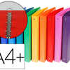 CLASSEUR EXACOMPTA 4 ANNEAUX 1 5MM POLYPROPYLENE 5/10E A4 DOS 20MM COLORIS OPAQUES ASSORTIS 20U CLASSEUR EXACOMPTA 4 ANNEAUX 1 5MM POLYPROPYLENE 5/10E A4 DOS 20MM COLORIS OPAQUES ASSORTIS 20U