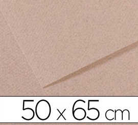 papier-dessin-canson-feuille-m-i-teintes-n-426-grain-galatina-haute-teneur-coton-160g-50x65cm-unicolore-gris-clair