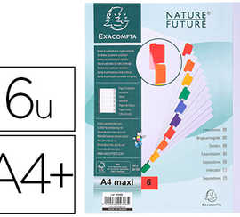 intercalaire-exacompta-carte-b-lanche-160g-6-positions-a4-onglets-couleur-renforcas