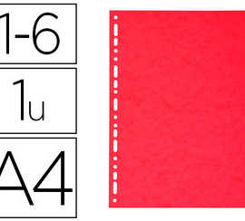 intercalaire-exacompta-carte-m-arbrae-recyclae-225g-6-positions-a4-coloris-vifs