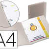CLASSEUR LIDERPAPEL 2 ANNEAUX 15MM A4 245X315MM POLYPROPYLÈNE TRANSLUCIDE DOS 17MM COLORIS FROSTY TRANSPARENT CLASSEUR LIDERPAPEL 2 ANNEAUX 15MM A4 245X315MM POLYPROPYLÈNE TRANSLUCIDE DOS 17MM COLORIS FROSTY TRANSPARENT