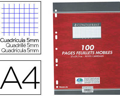 feuillet-mobile-conquarant-sep-t-a4-210x297mm-100-pages-90g-5x5mm-perfora-coloris-blanc