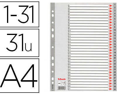 intercalaire-esselte-polypropy-lene-31-positions-a4-225x297mm-bande-perforae-renforcae