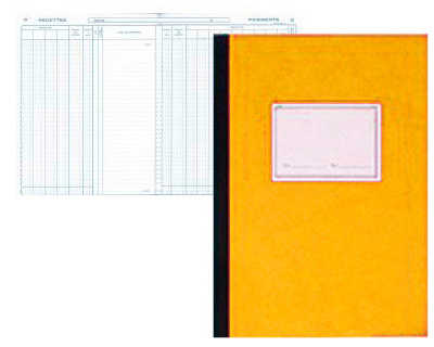 registre-piqu-elve-240x320mm-100p-journal-caisse-banque-13-colonnes-2-pages-lib-ll-central