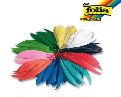 plume-indienne-folia-100g-coloris-assortis