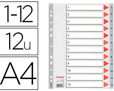 intercalaire-esselte-polypropy-lene-12-positions-225x297mm-document-a4-bande-perforae-renforcae