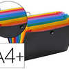 TRIEUR VIQUEL RAINBOW CLASS PP 8/10E 350X245MM 12 POSITIONS EXTENSIBLE FERMETURE BOUTON RIVETA ALASTIQUE COLORIS NOIR TRIEUR VIQUEL RAINBOW CLASS PP 8/10E 350X245MM 12 POSITIONS EXTENSIBLE FERMETURE BOUTON RIVETA ALASTIQUE COLORIS NOIR