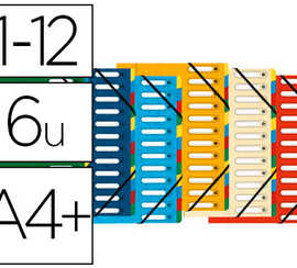 trieur-exacompta-harmonika-car-te-lustrae-5-5-10e-a4-12-compartiments-a-fen-tre-elastiques-dos-extensible