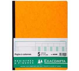 registre-piq-re-exacompta-colo-nnes-250x320mm-31-lignes-5-colonnes-page-80-pages