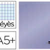 CAHIER PIQUA LIDERPAPEL COUVER TURE PLASTIQUE SOUPLE A5+ 17X22CM 90G 96 PAGES SAYES COLORIS VIOLET CAHIER PIQUA LIDERPAPEL COUVER TURE PLASTIQUE SOUPLE A5+ 17X22CM 90G 96 PAGES SAYES COLORIS VIOLET