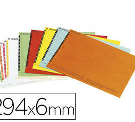 atiquette-esselte-carton-250g-m2-pour-dossiers-az-tiroirs-295x200mm-sachet-brochable-10-planches-25-unitas