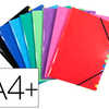 TRIEUR EXACOMPTA IDERAMA AGRAF A CARTE LUSTRAE A4+ 245X320MM 12 COMPARTIMENTS PAGE D'INDEX TRIEUR EXACOMPTA IDERAMA AGRAF A CARTE LUSTRAE A4+ 245X320MM 12 COMPARTIMENTS PAGE D'INDEX