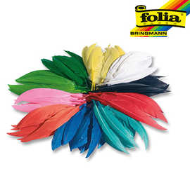 plume-indienne-folia-100g-coloris-assortis